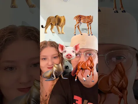 Can you MATCH the animal 2?! 🫪