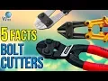 Bolt Cutters 5 Fast Facts