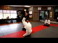 Download Lagu 『合氣道』Ki-Aikido Kashiwaya sensei/Houston Seminar 2022 Part 1