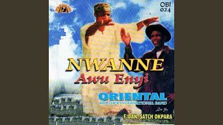 nwanne awu enyi