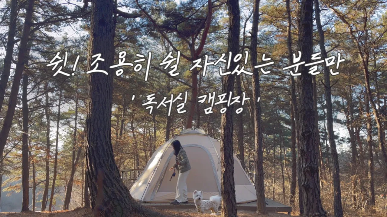 애견동반 캠핑 | 분명 사람은 있는데 목소리가 안들린다?🤔 | 대체 얼마나 조용하길래 | 매너캠퍼 집합소 | 파인힐캠프 | 보일링크랩🦀 | solo camping | 솔로 캠핑 サムネイル