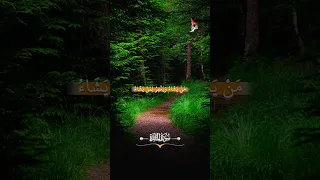 سورة المائدة الآية 40 تلاوة القارئ الشيخ سيد سعيد 