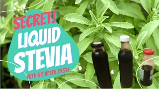 Download How to make liquid stevia taste better with no aftertaste MP3