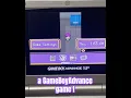 Pokemon Unbound Options Customizable