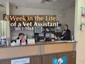 A Week in Life as a Veterinarian Assistant Pre-Vet Work Experience Before Getting into Vet School