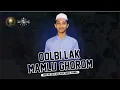 Download Lagu QOLBI LAK MAMLU GHOROM