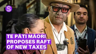 Te Pati Maori proposes 48 income tax rate tax credit for kai Stuff co nz