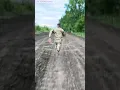 Download Lagu Diffusing unexploded bomb #shorts #video #viral #bomb