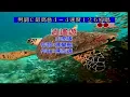 逍遙遊~小虎隊~男C調~伴奏導唱~金嗓