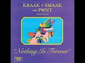 Nothing Is Forever - Kraak & Smaak & Kosta G