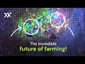 Precision Agriculture and the power of Hyperspectral imaging - Pixxel