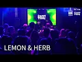 Download Lagu Lemon \u0026 Herb | LIVE from FiNE Birthday Boutique 2025 | Afro House/Afro Tech Mix