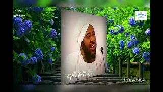 من حقائق التوبة الشيخ محمد سيد حاج رحمه الله 