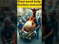 Mustafa Mustafa Rahmat e Dojahan| Helpless goat 🐐 Rescued ⛑️ #mustafamustafa #cute #short