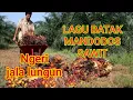 Download Lagu DOLOK SANGGUL PEKANBARU|CIPT.M.SILABAN DIPOPULERKAN NEW PELITA TRIO|COVER @juniormoratv|Musik