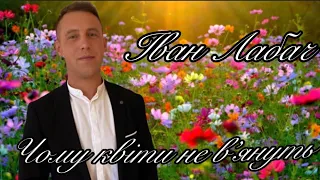 ЧОМУ КВІТИ НЕ ВʼЯНУТЬ ВАНЯ ЛАБАЧ 
