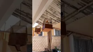 صوت كنار بلدي 