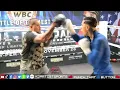 POWER Fernando Vargas Jr lights up the hand pads w his dad Fernando Vargas