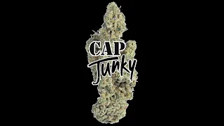 TERPENE TUESDAY - CAP JUNKY