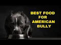Best Dog Food For Adult American Bully