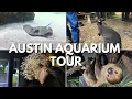 Detailed Austin aquarium tour with all the animals you ll encounter