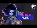 SAATI ULTIMATE BUILD IS STRONG PALADINS