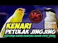Download Lagu MASTERAN KENARI MANCUR VS PETULAK JINGJING MESIN JAHIT || KENARI SAMBUNG JINGJING | PETULAK JINGJING