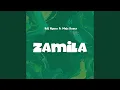 Download Lagu Zamila