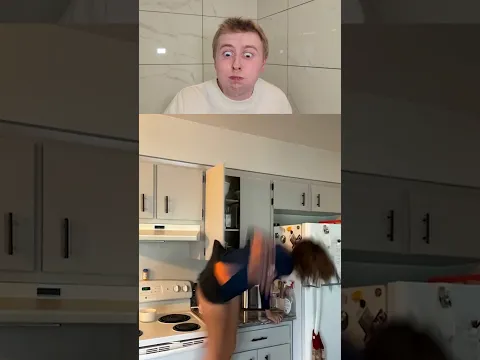 Girl Tries To Save Her Cat #Shorts