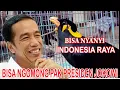 Download Lagu BURUNG BEO Bisa nyanyi INDONESIA TANAH AIRKU Dan Ngomong PAK JOKOWI