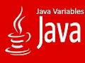 Selenium 8 - Java Variables