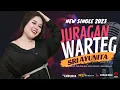 Download Lagu SRI AYUNITA | JURAGAN WARTEG (Official Music Video)