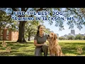 Find the Best Dog Training in Jackson Mississippi