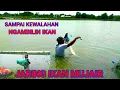 JARING IKAN MUJAIR