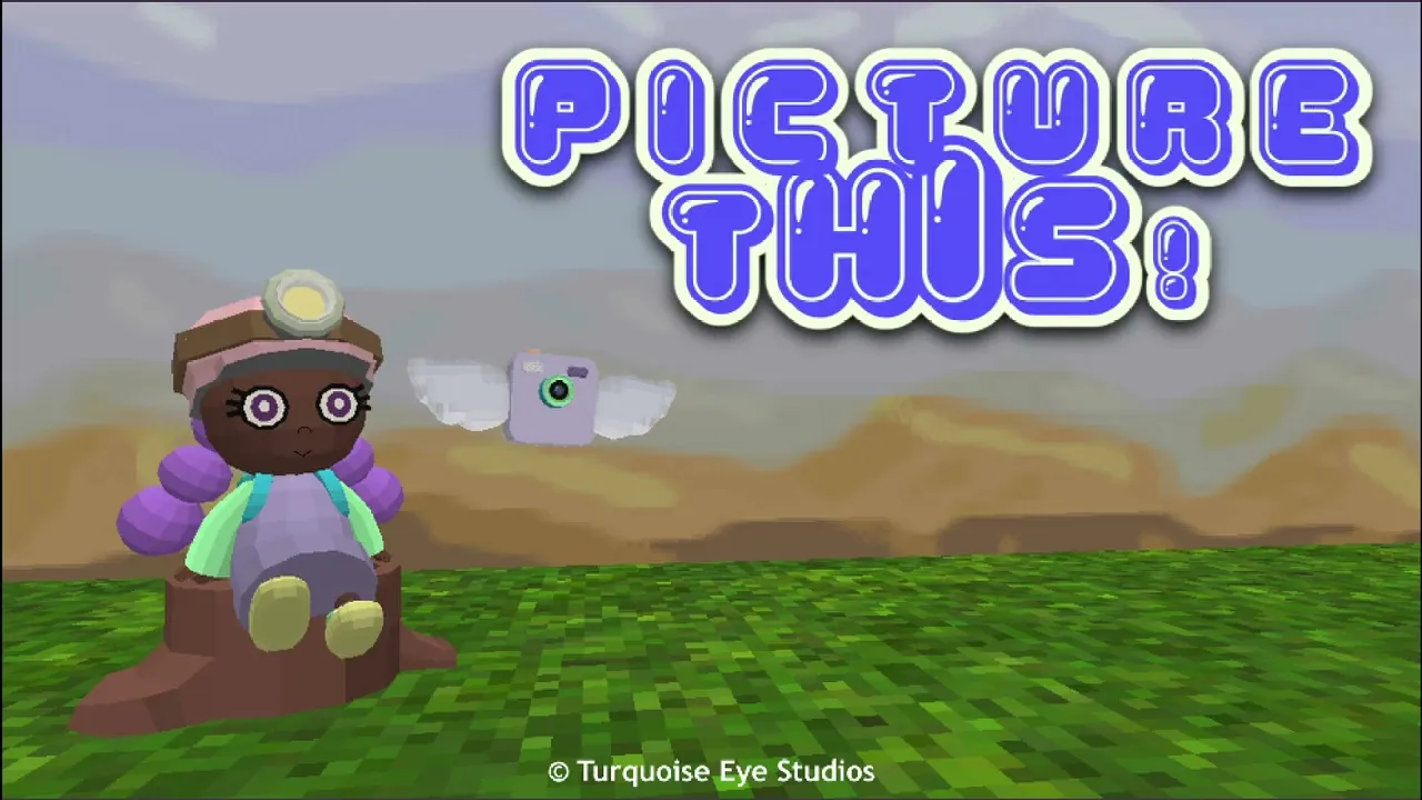 Picture This!