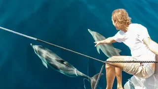 5 Long Days at Sea With Friendly Tuna, Dolphin Mayhem and 3 Amigos; Ep. 133