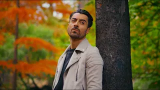 Robert Toma - Dragostea