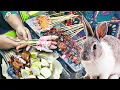 Download Lagu KULINER EKSTRIM!! NYOBAIN SATU SATUNYA SATE KELINCI LEGEND DI SIDOARJO