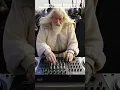 Download Lagu LOTR – Gandalf the DJ #lotr #gandalf #lordoftherings #parody