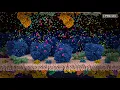 How Neurons Communicate An Introduction to Neurotransmission and Action Potential from PDB-101