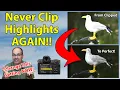 The End Of Clipped Highlights For Nikon And Sony