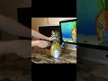 Download Lagu Check out the full video on my YouTube channel #spongebob #pineapple #youtube