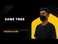Same Tree LeetCode Problem Explained DSA in Python Java C Top Coding Interview Question