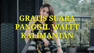 Download SUARA BURUNG WALET SUPER MP3 | SUARA WALET TV MP3