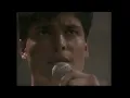Tu Pirata Soy Yo   Chayanne   Bachata