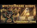 Lagu Hallelujah (po polsku) - ROCK COVER | Wyczochrane Bobry