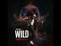 It's Jus ( Jus D ) - WILD