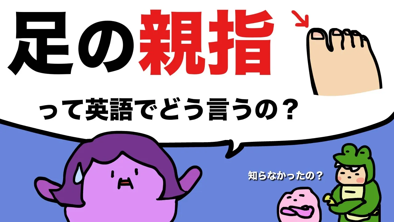 【意外に言えない！】 足の親指、人差し指って英語で言える？指の言い方 [#392]