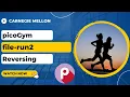 picoGym picoCTF Exercise file-run2