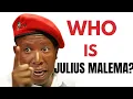 The Rise of Julius Malema From Limpopo to Leader of the EFF